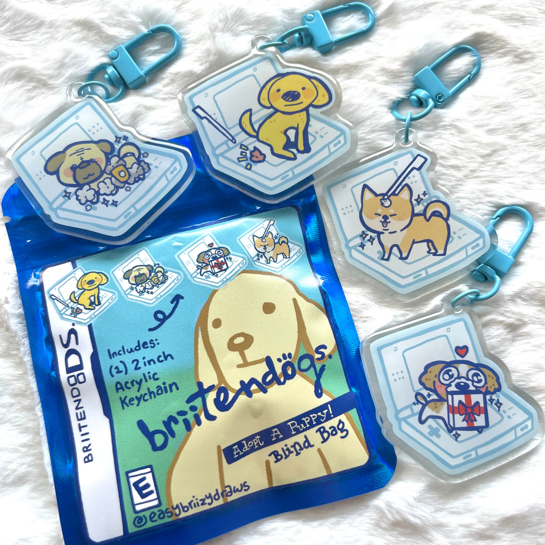 Briitendogs Acrylic Charm Blind Bag